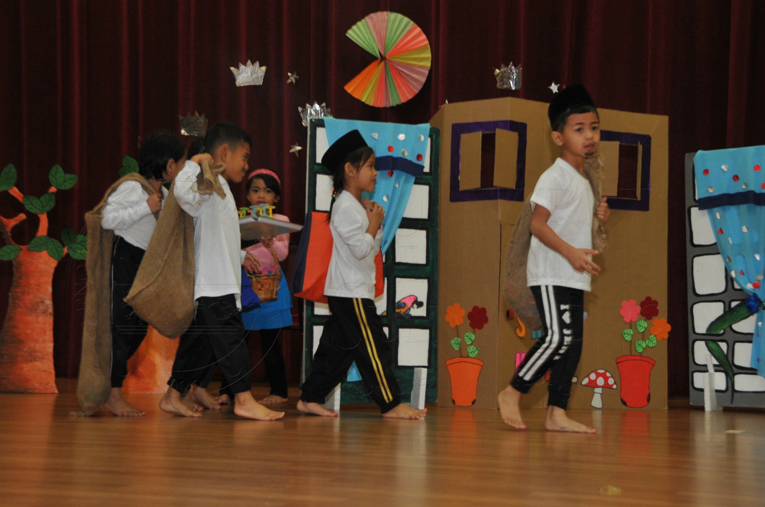 PRO15 163 KONVO HAS 0736